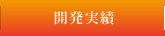 開発実績
